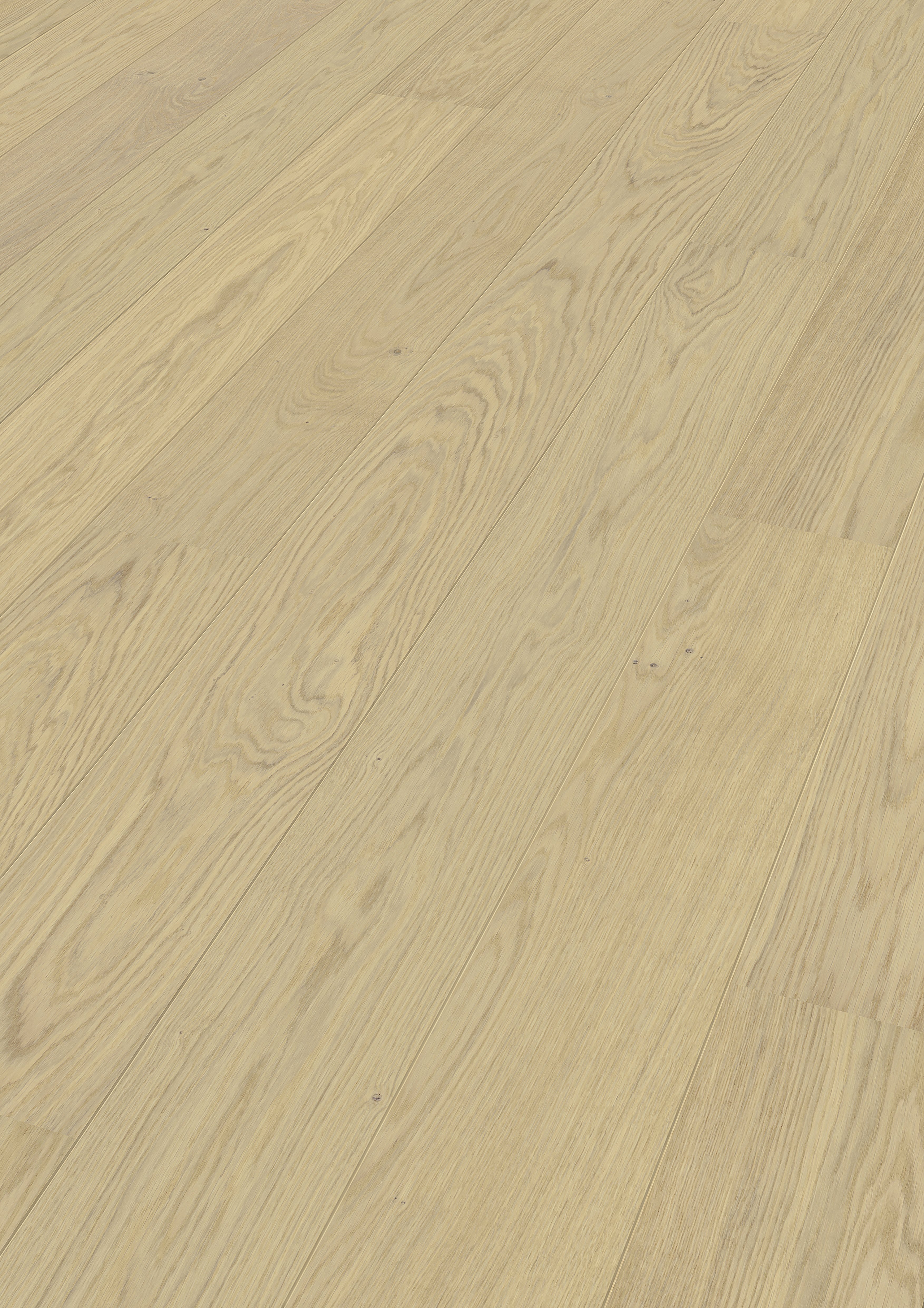 Meister Parkett: Holz Oberfeld